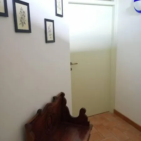 Il Cedro