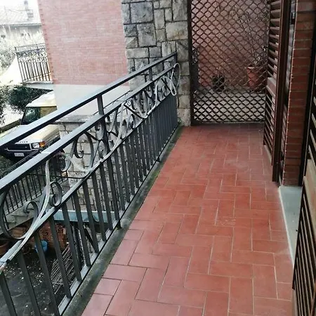 Il Cedro