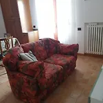 Il Cedro * Росия